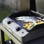 Plancha FUSION 60 Gris sivý plynový gril
