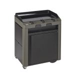 Plancha FUSION 75 sivý / Plynový gril COMBO s konštrukciou